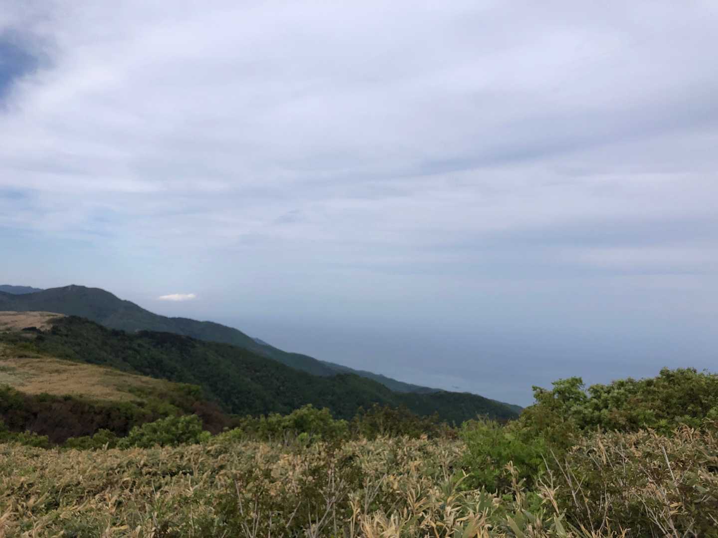 ドンデン山-椿越峠-金北縦走路入口 周回コースの写真