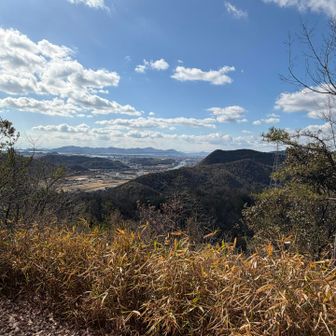 私のお気に入りの展望箇所の木🌳が伐採されて見やすくなってました🥺