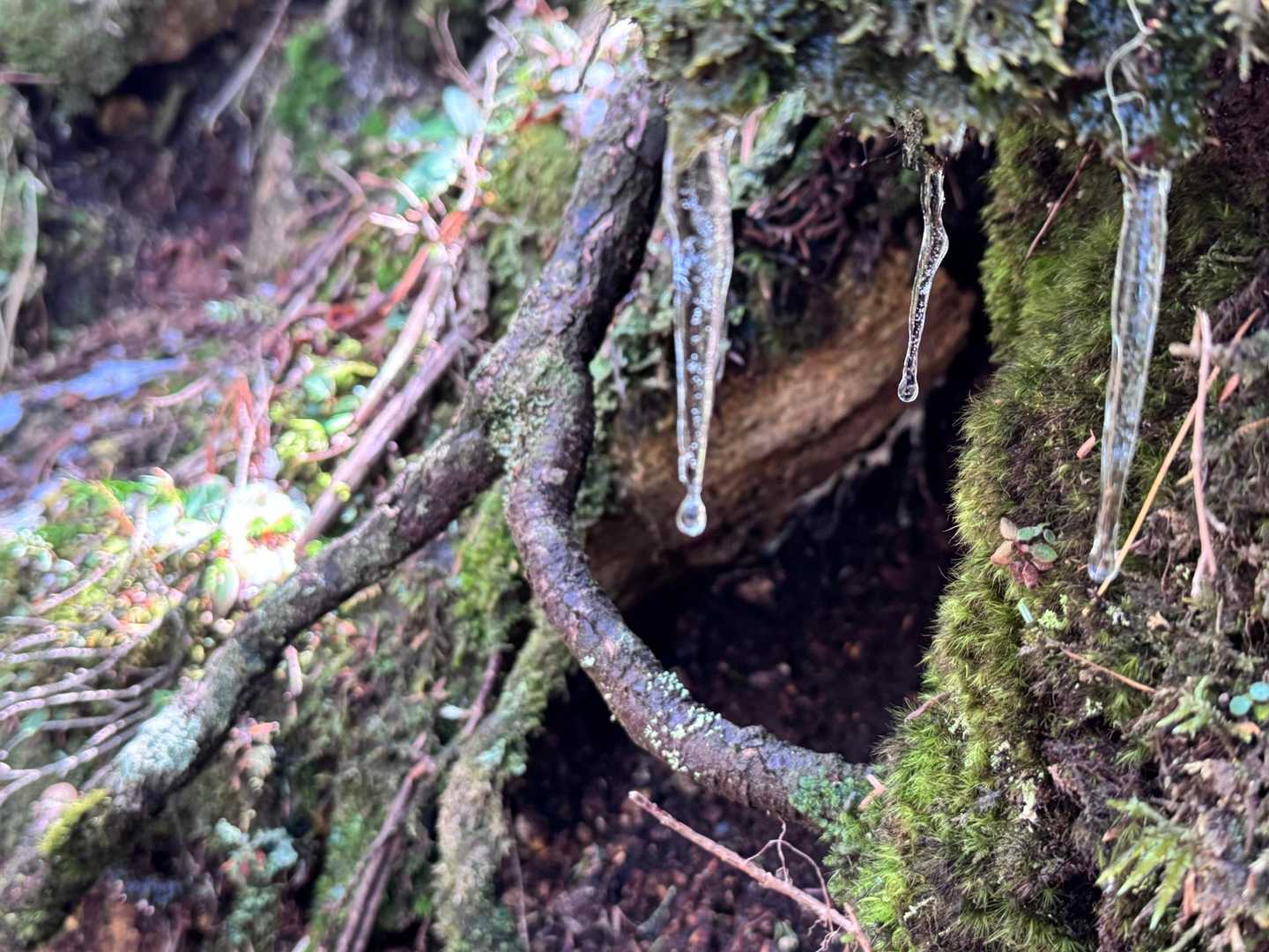 瑞牆山荘-金峰山 往復コースの写真