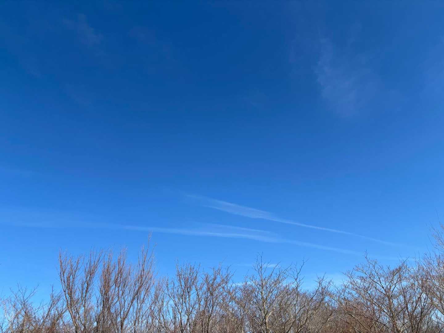 青空🟦