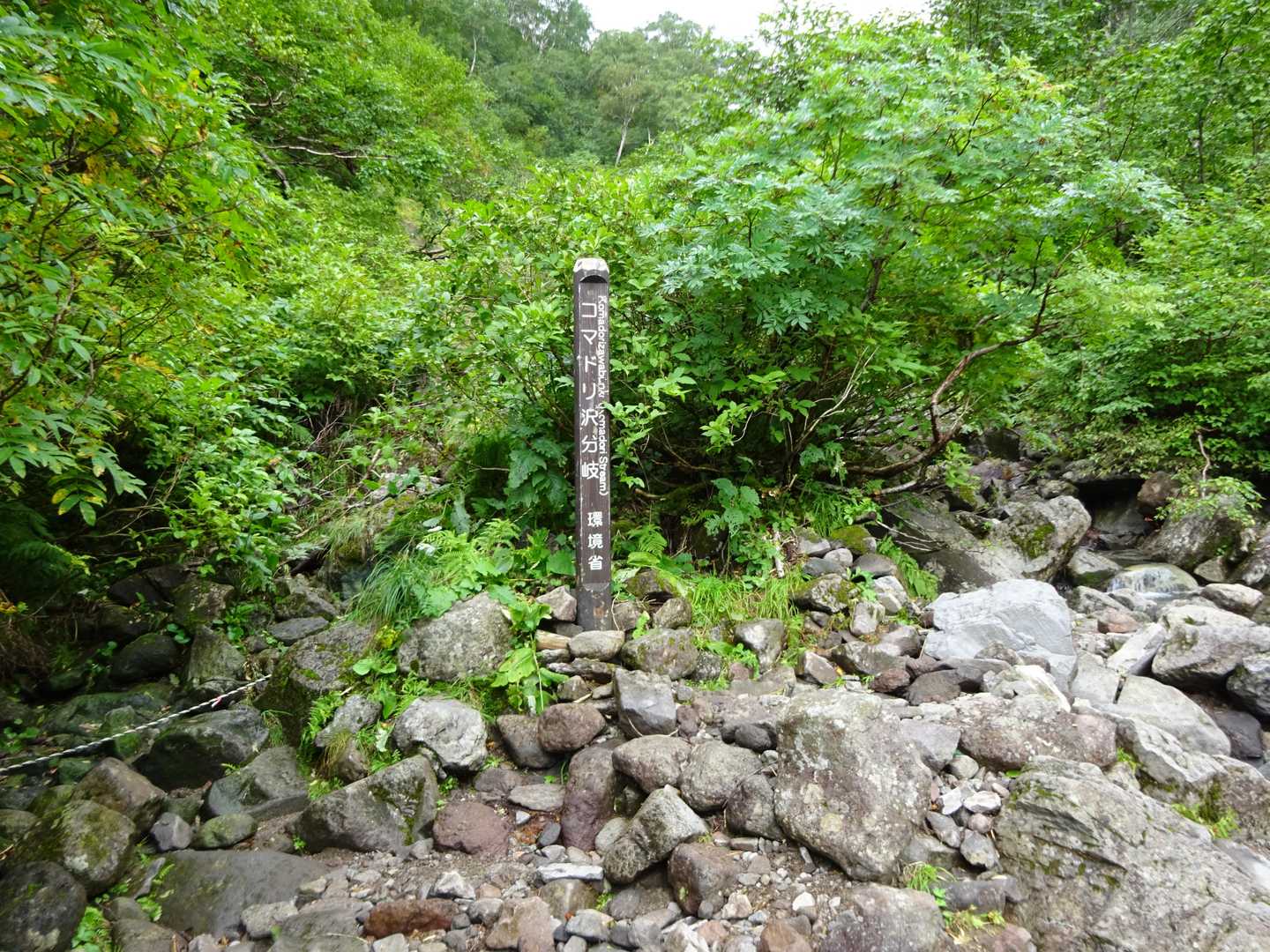 コマドリ沢分岐