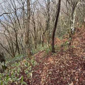 下山は違う道で😄