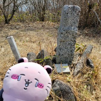 山名板を探しに来たけど…見当たらなかったので三角点と
Σp[【◎】]ω・´)✨️