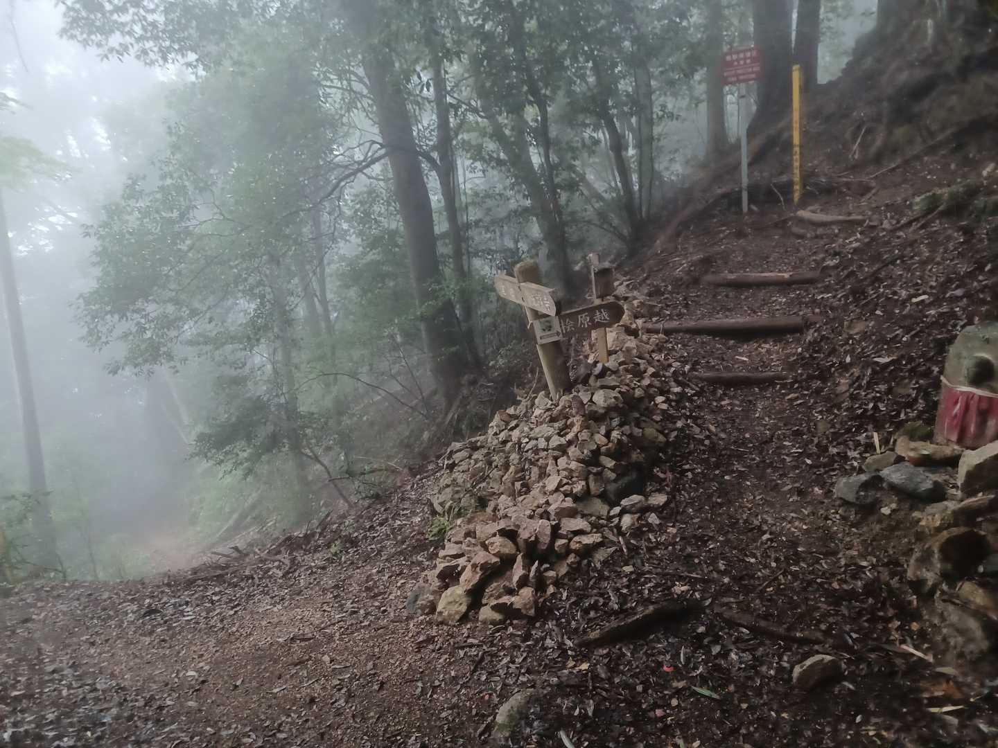 施福寺-槇尾山バス停 縦走コースの写真
