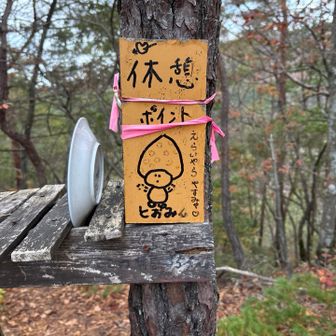 マリ○のキャラクターにいたような？