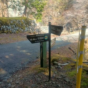 ここからしばらく舗装道を歩きます