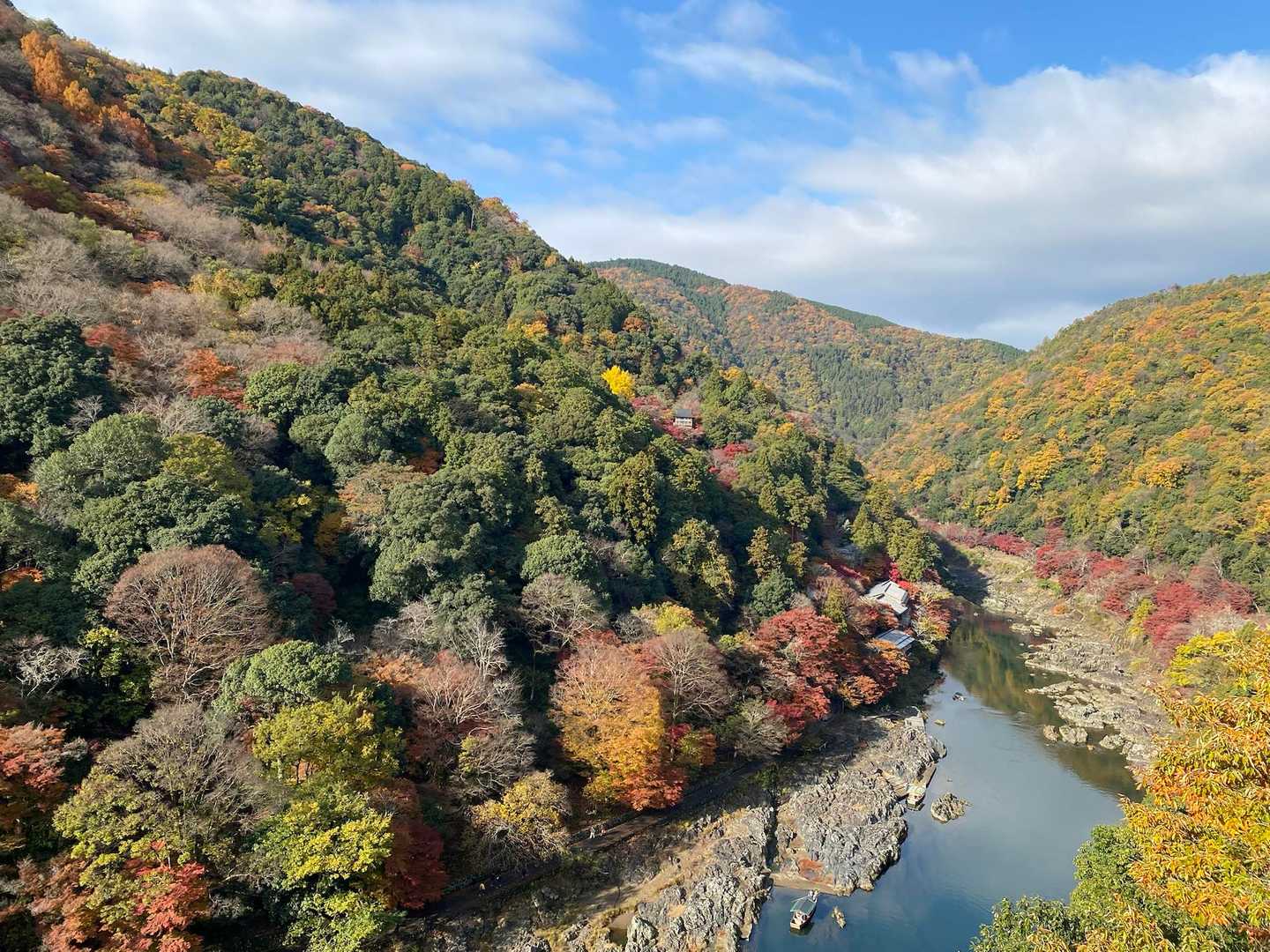 栂尾町バス停-槙ノ尾バス停-六丁峠 縦走コースの写真
