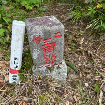 先月は赤くなかったのに、、
塗ったの誰だ！？