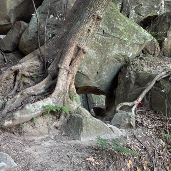 久しぶりの
双石山は、楽しかった。
とても表情豊で、
素敵な場所ですが
厳しさも有り
滑落事故も多いお山です。