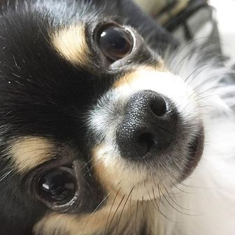 やわらかティッシュ