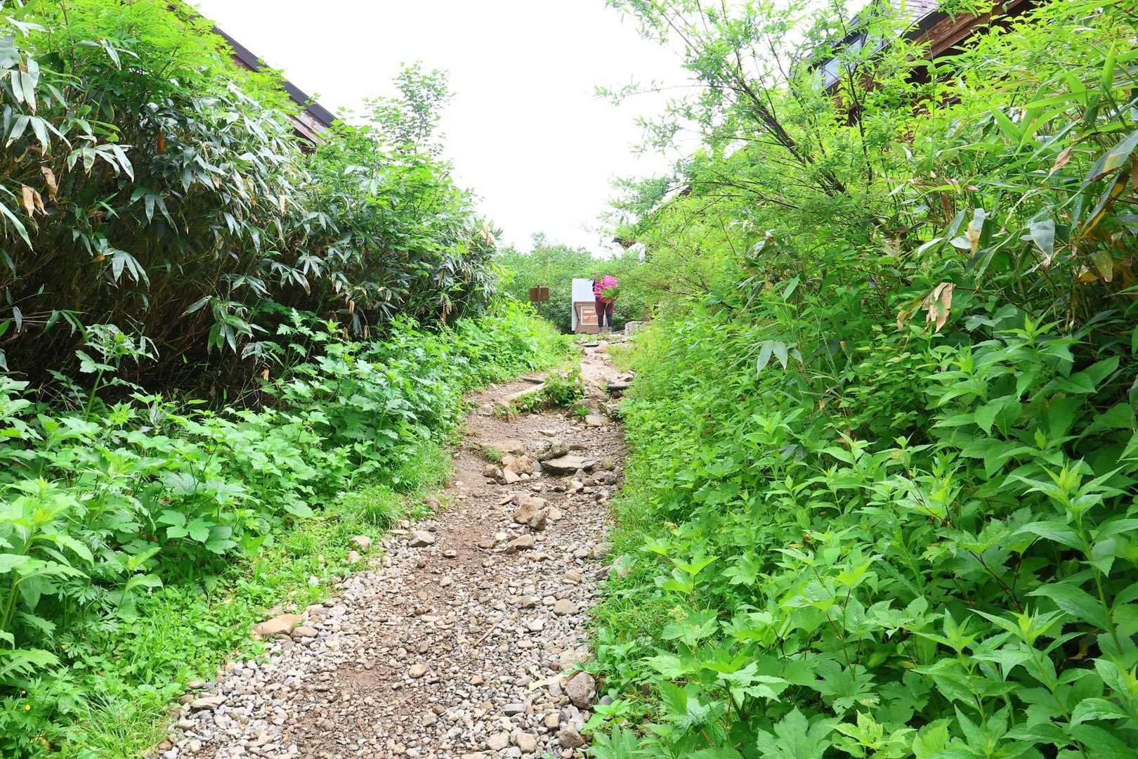 やっぱり気になる登山口。

「ちょっとだけ登山口進みたいの🙏」とお願いしたら、「言葉通りならいいよ」と。

「ち・よ・つ・と・だ・け・と・ざ・ん・ぐ・ち・す・す・み・た・い・の」
17歩分進んだ🤣

ちょっと物足りない。

「あのカーブまで行きたいの🙏」とお願いして、更に12歩進んで振り返ったところ（笑）

ソフトクリーム食べてロープウェイ下山🚡