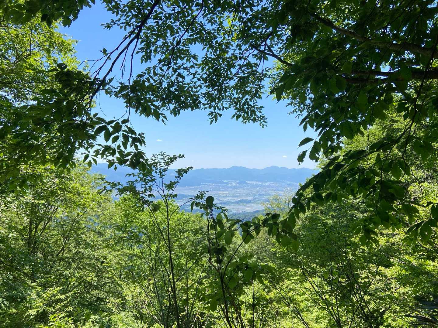 樽石山 往復コースの写真