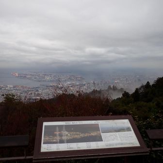 濡れている上に気温が下がって寒い🥶