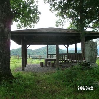 丸子城山