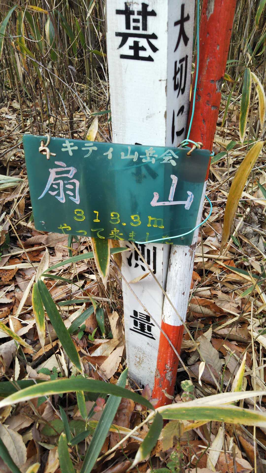 扇山313.3m