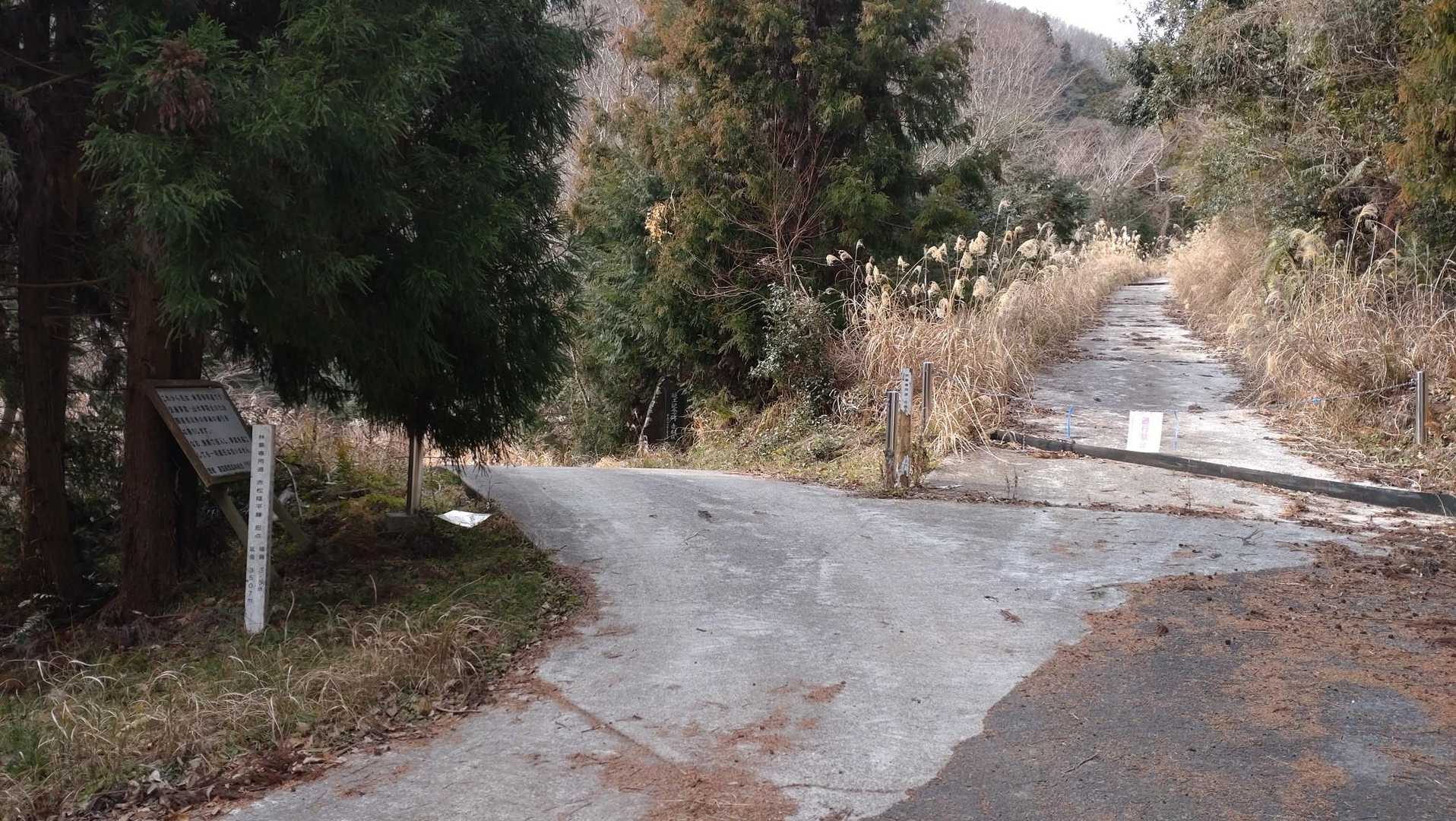 帰りは右の林道を下りてくる。