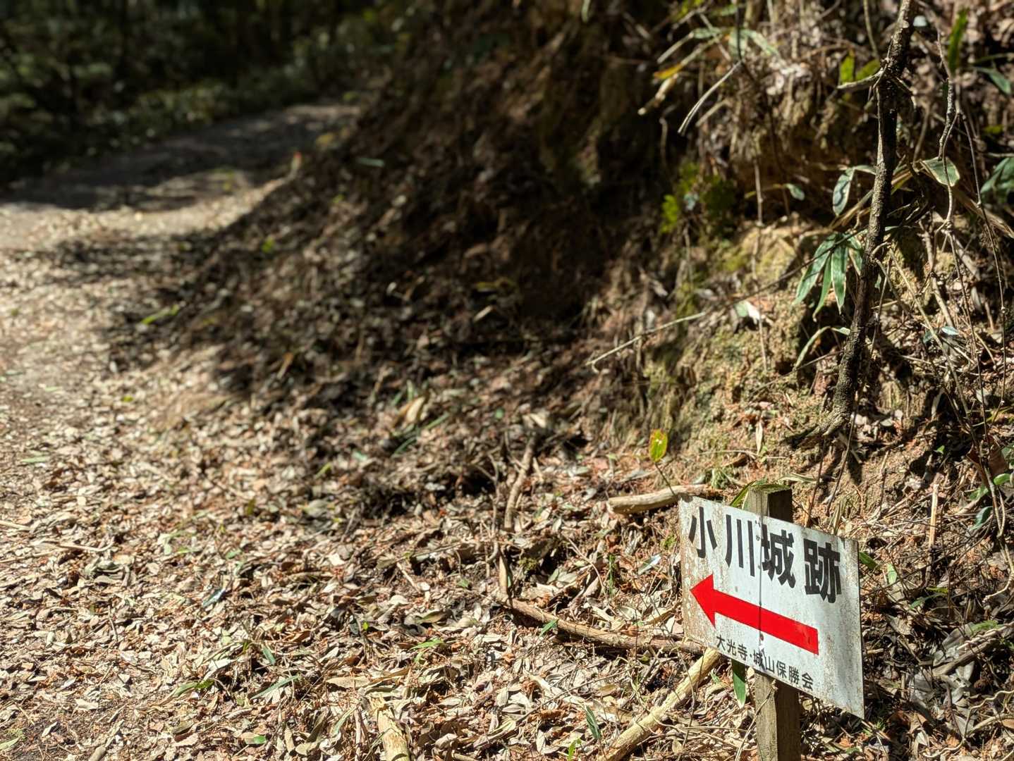 案内