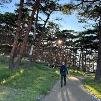 夕がけには早いけど、えびの岳を周回します