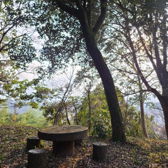 ステキな丸テーブルとイス