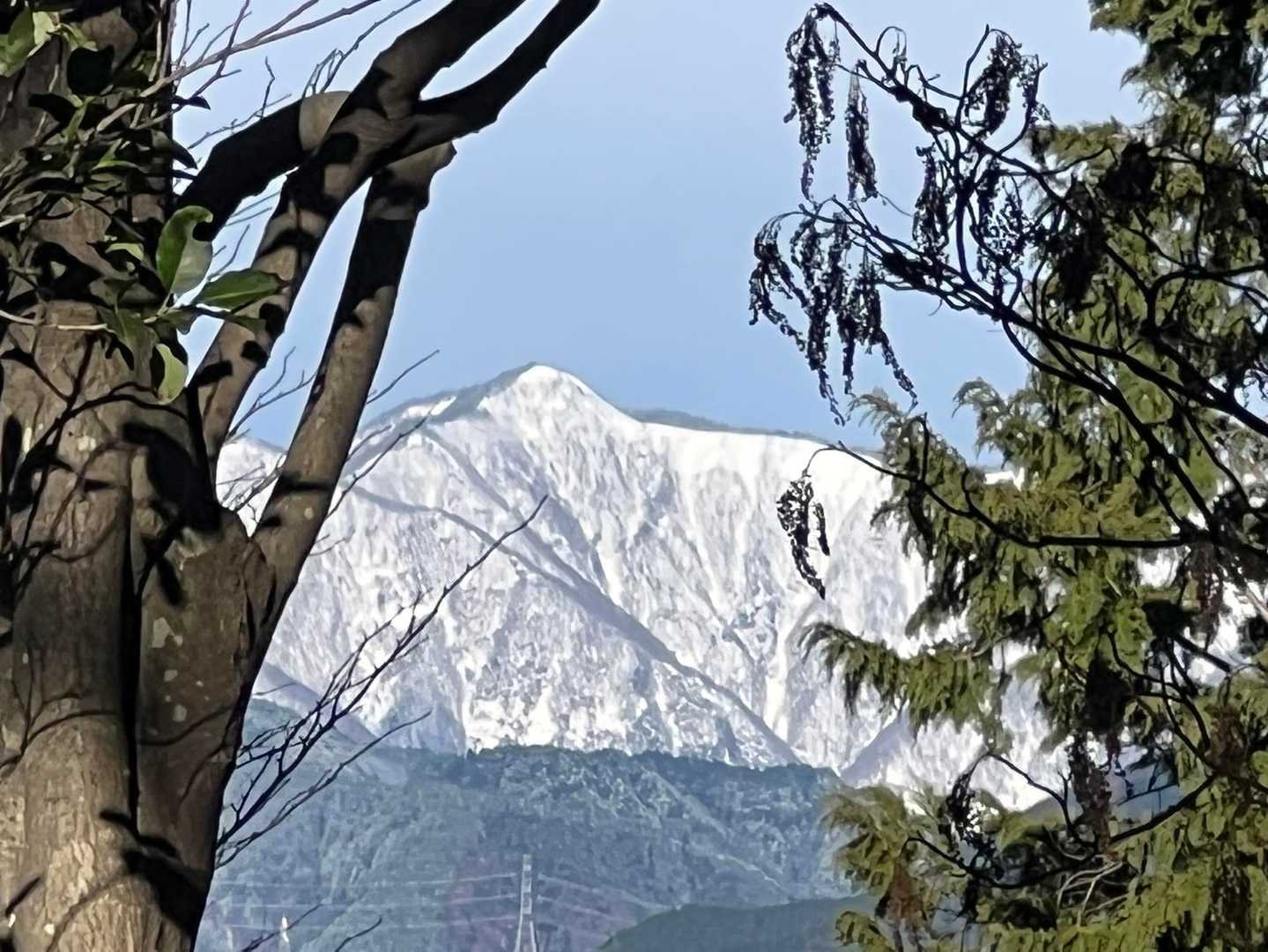 この形は小津権現山だな👍