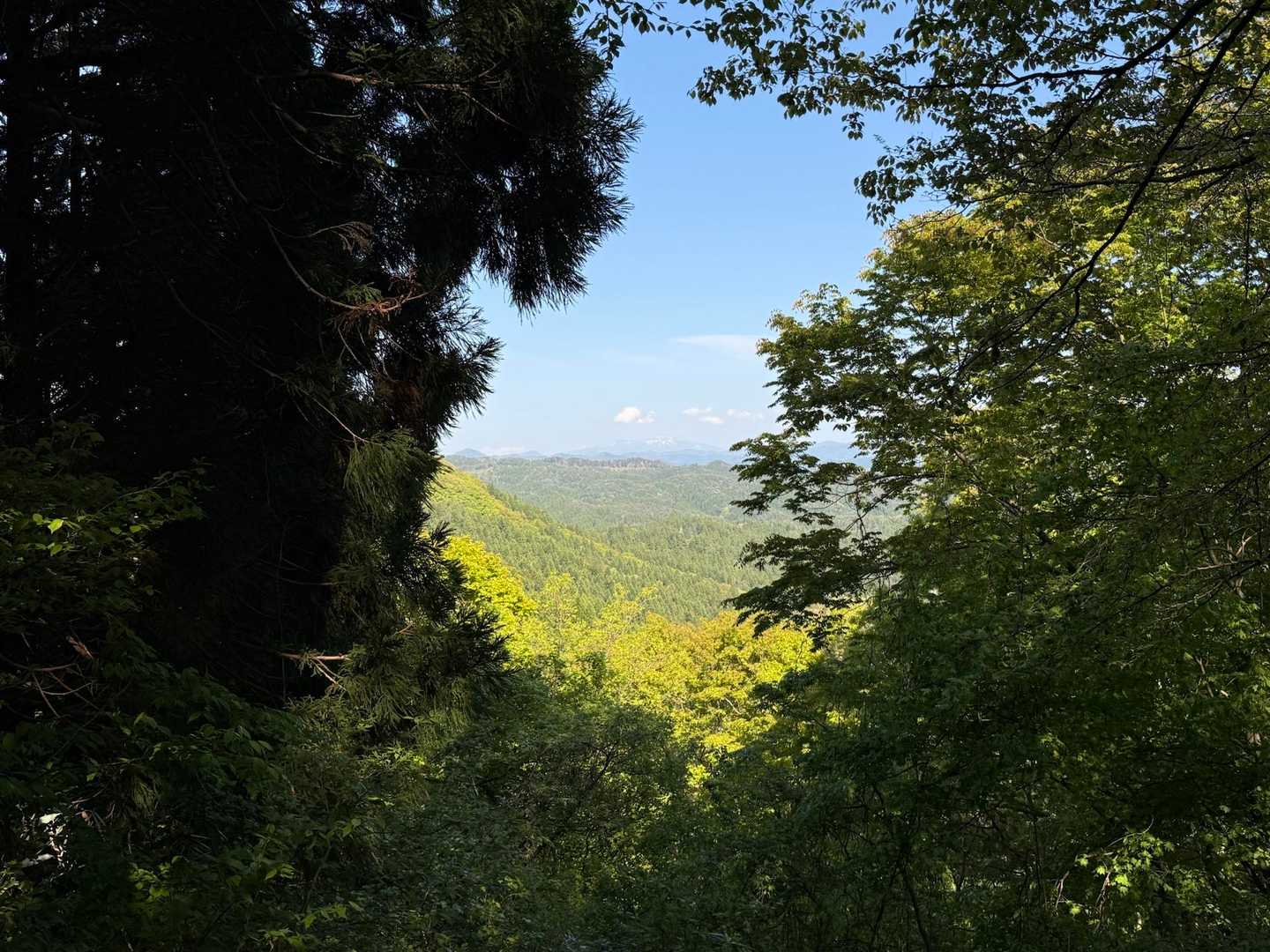 周回して下山中に森吉山発見