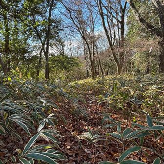 師岩に向かいます〜🪨