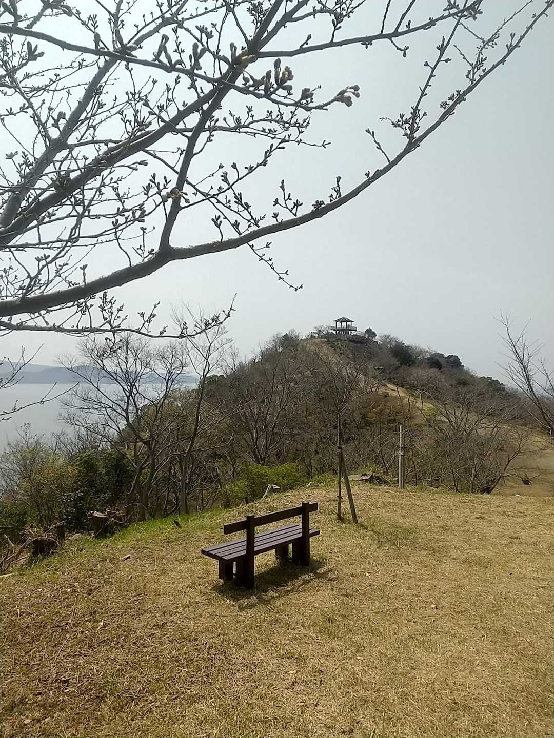 桜はあと1週間くらい先だったね😅