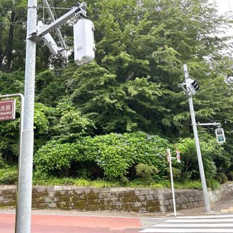暫く進むと駅近くに／^o^＼