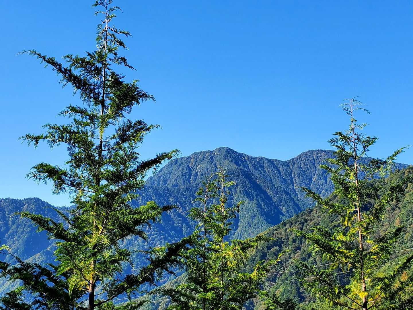 有明山⛰️
登りたいけどちょっと怖い💦