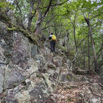 いただきに向けて
クライミングゲレンデでなくても、ちょっとした岩歩きができる。この山はすべてがチャートで出来ているらしい。