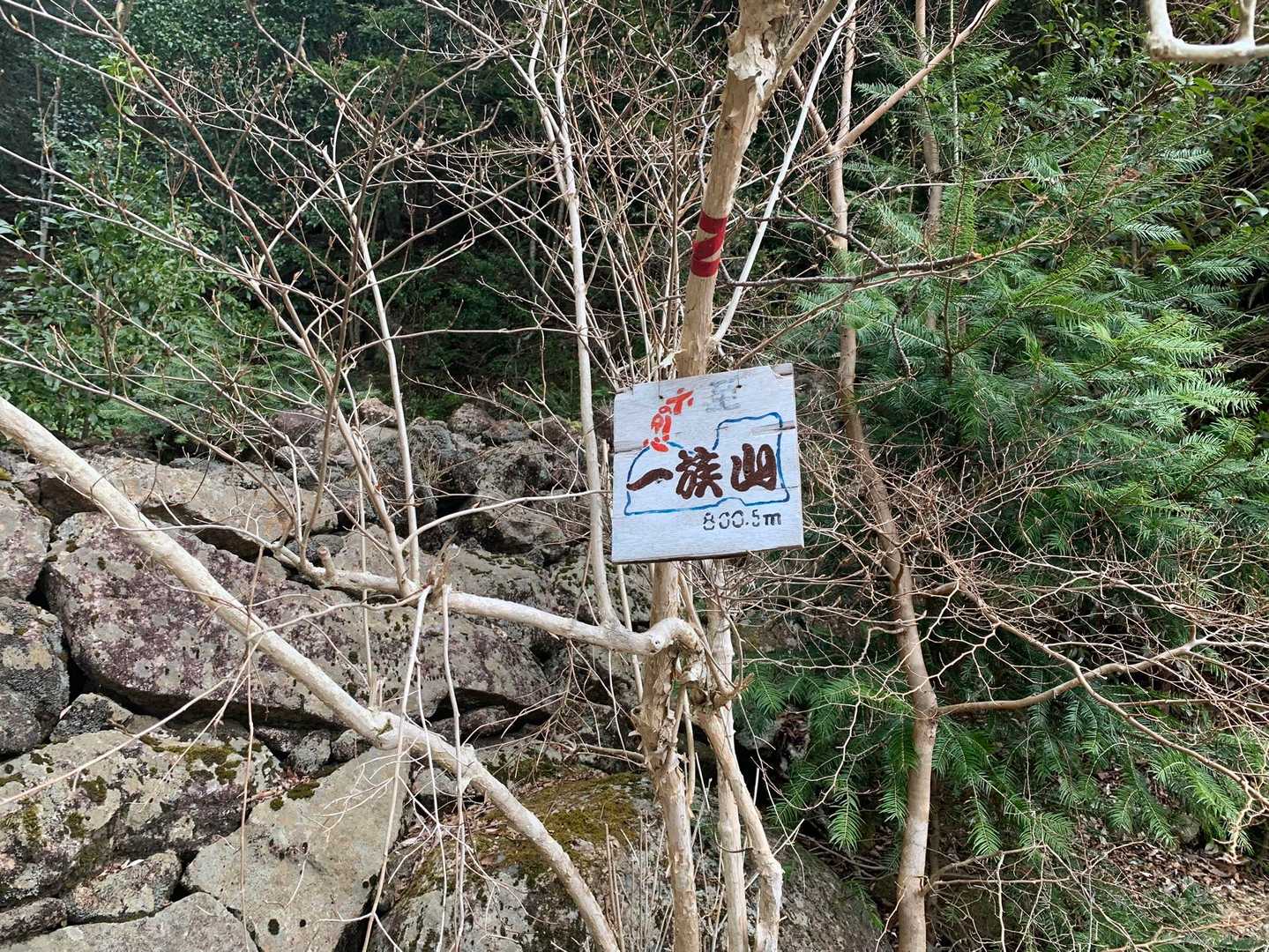 下山途中の看板。
至一族山って書いてある。
ここも一族山の登山口らしい。
ここからピストンで登れば、1番安全で道は荒れてないよ。あっというまで物足りないと思うけど。