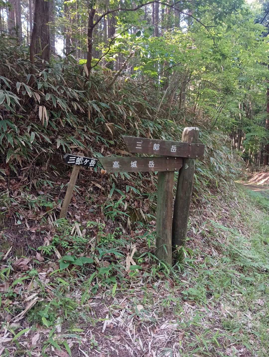 林道を少し歩き、高城岳の標識から、山に入ります。