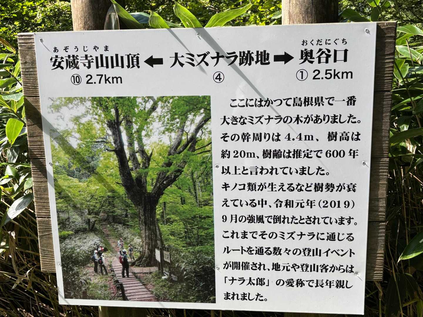 残念です