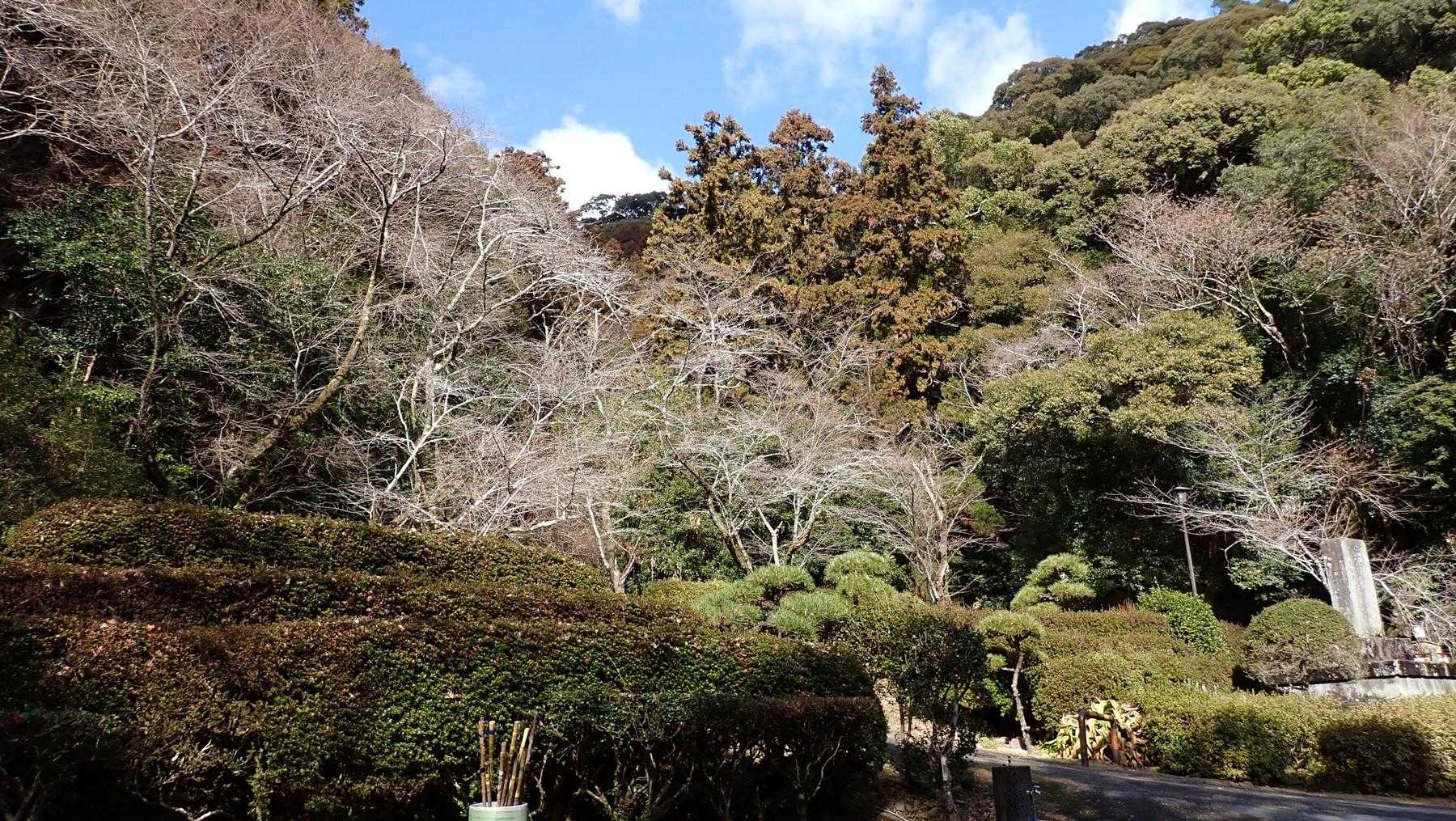 登りはこの谷筋だった。道理で険しいはず。