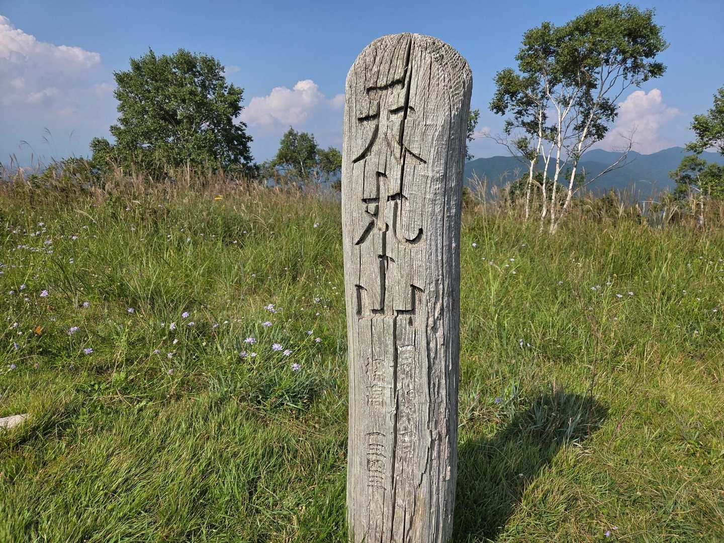 天丸山 往復コースの写真