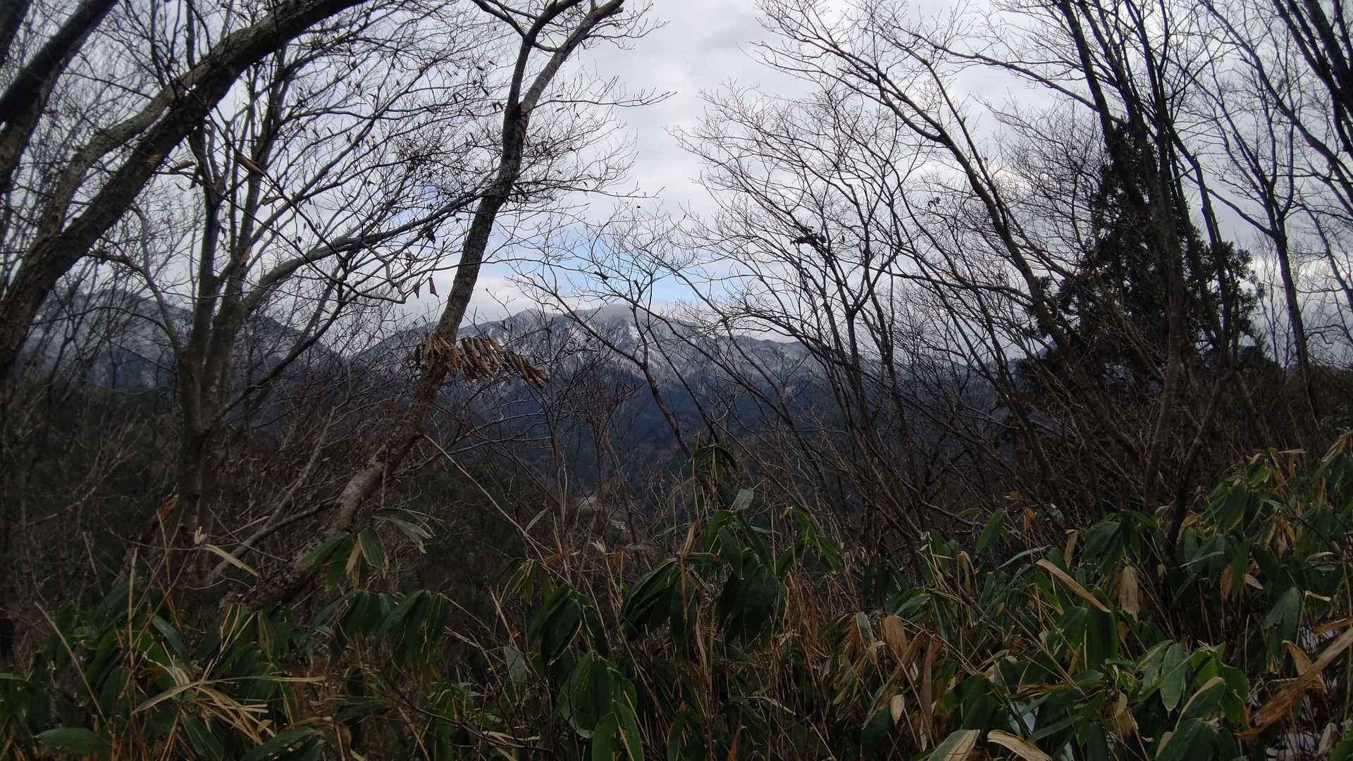 棒掛山かな