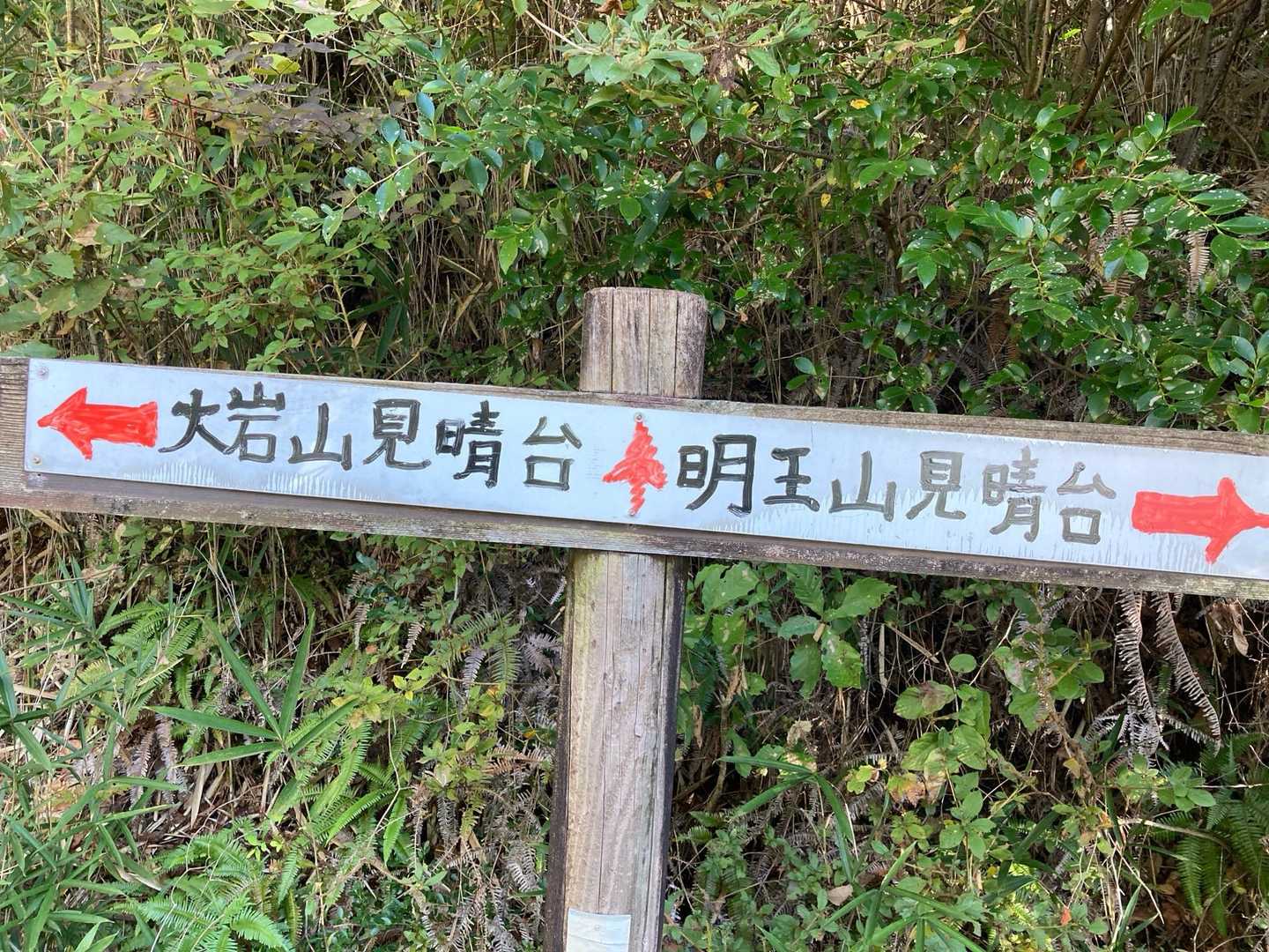 こっち？
違うかな？