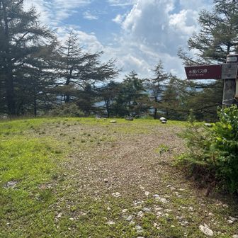 広い頂上