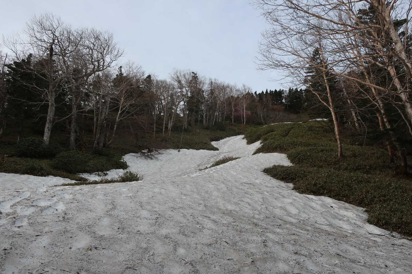 雪が出てきました
チェンスパなしで🙆‍♀️