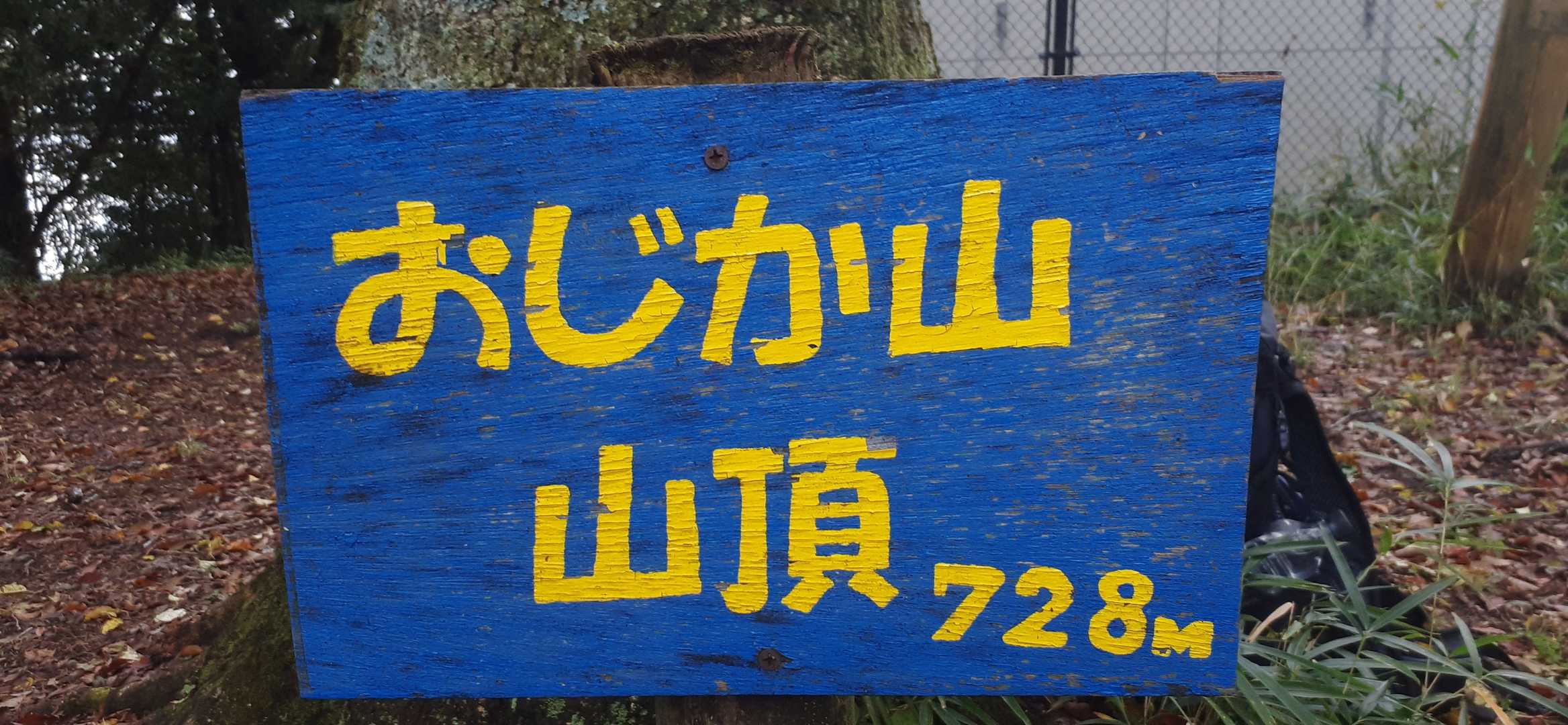 枯れ葉が舞い降る小鹿山頂。
