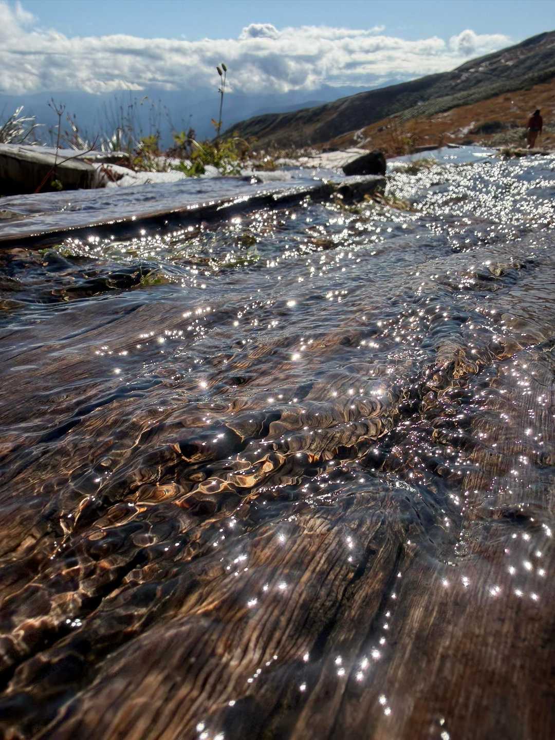 木道を流れる川が光に反射してめちゃくちゃ綺麗✨
