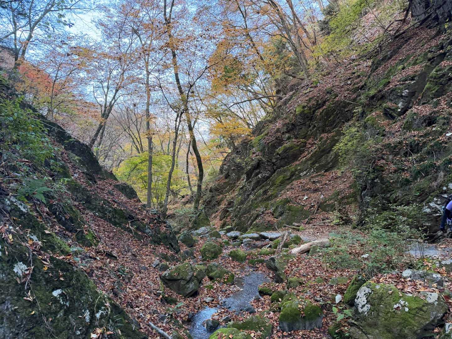 御岳山駅-御嶽神社-御岳山-天狗の腰掛け杉 周回コースの写真