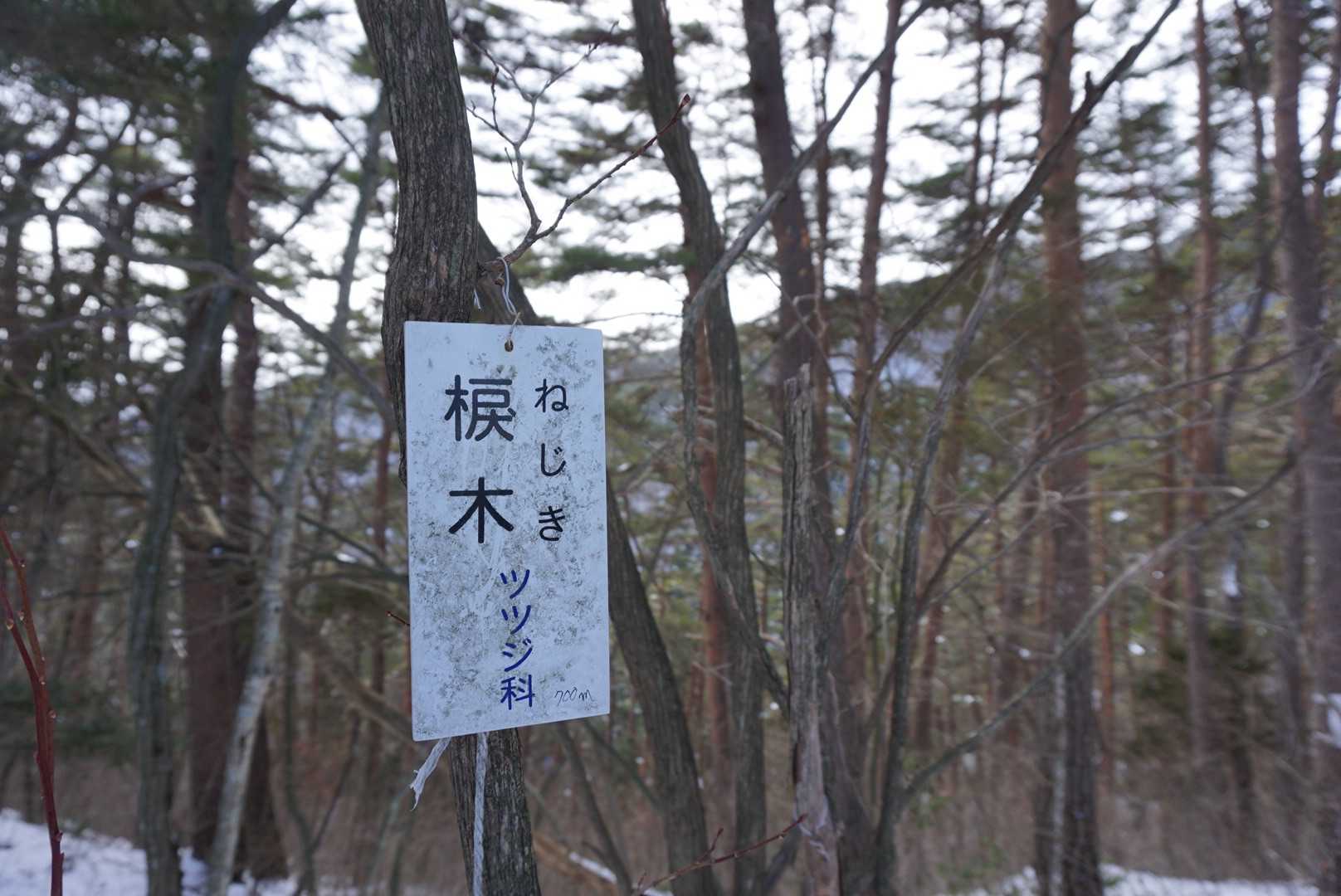 読めないけど確かにねじれてる