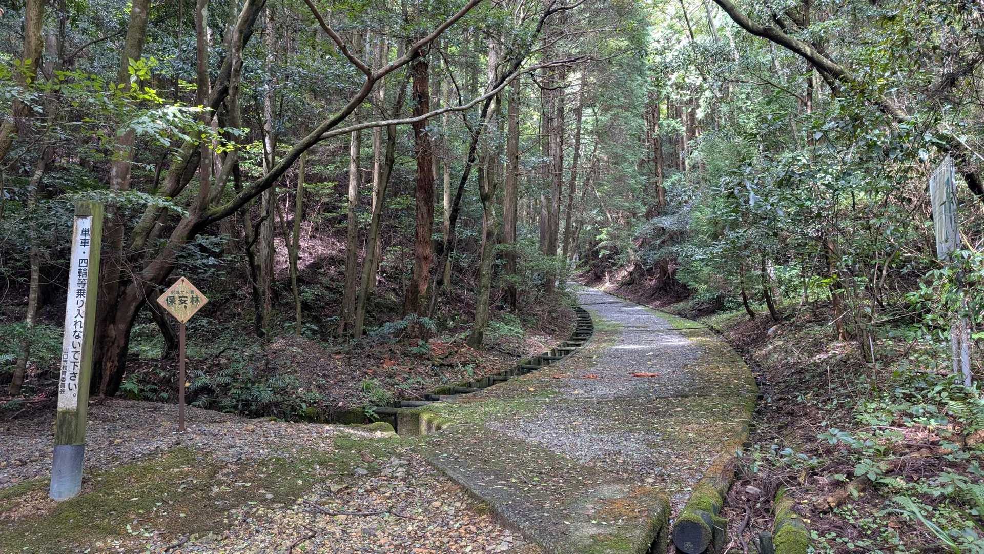 東鳳翩山-ショウゲン山-板堂峠 周回コースの写真