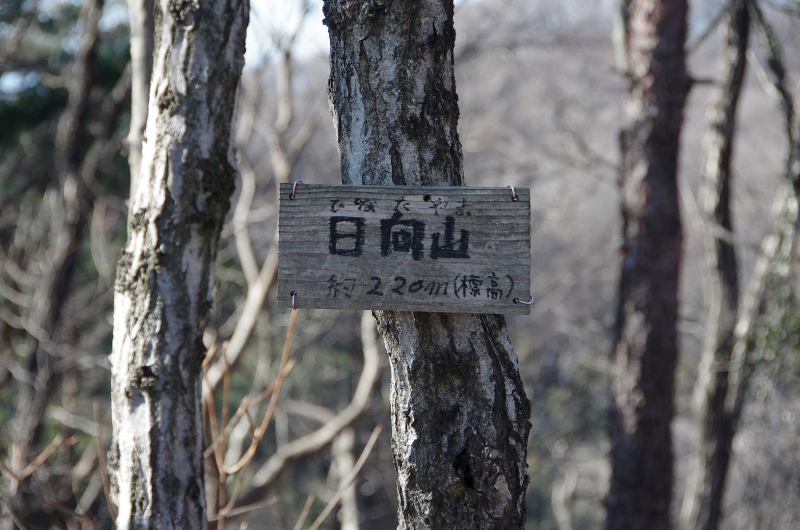 日向山(ひなたやま)