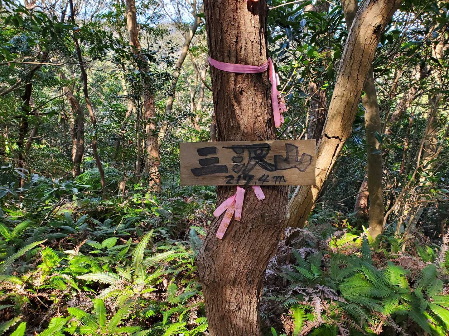 三沢山