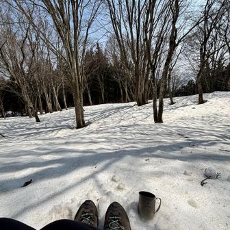 雪の上で休憩
涼しくて気持ちいい