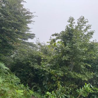 眺望は当然なし