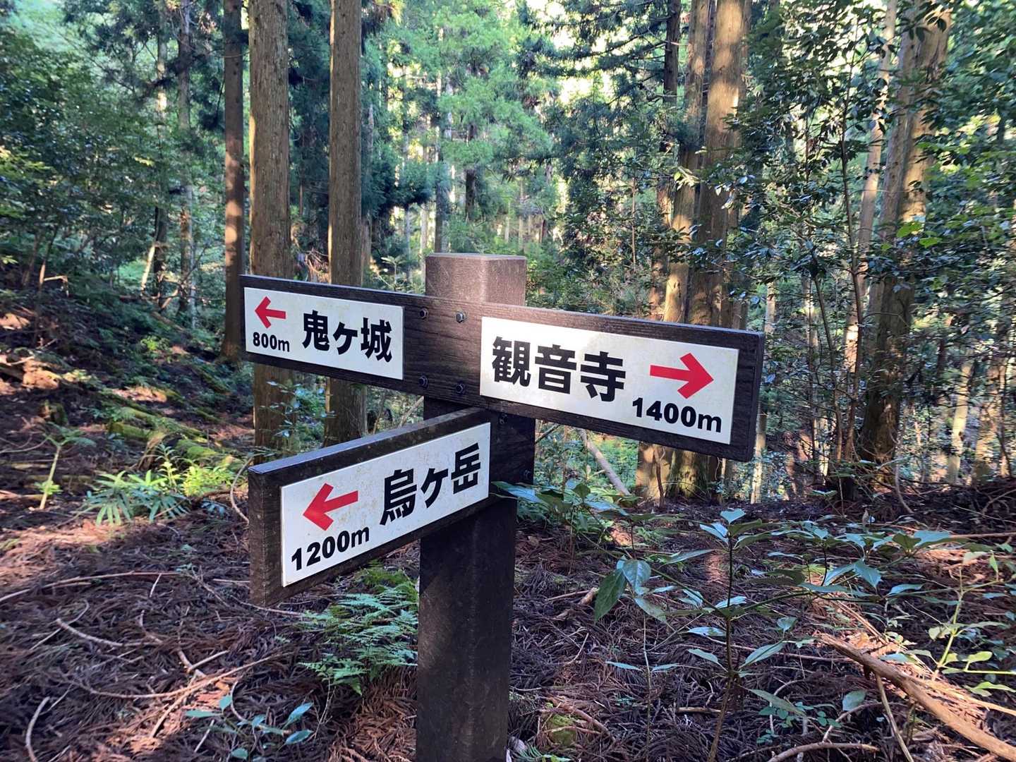 暑いのと急登でえっちらおっちら登ったため、登山道の風景を撮ってませんでした💦