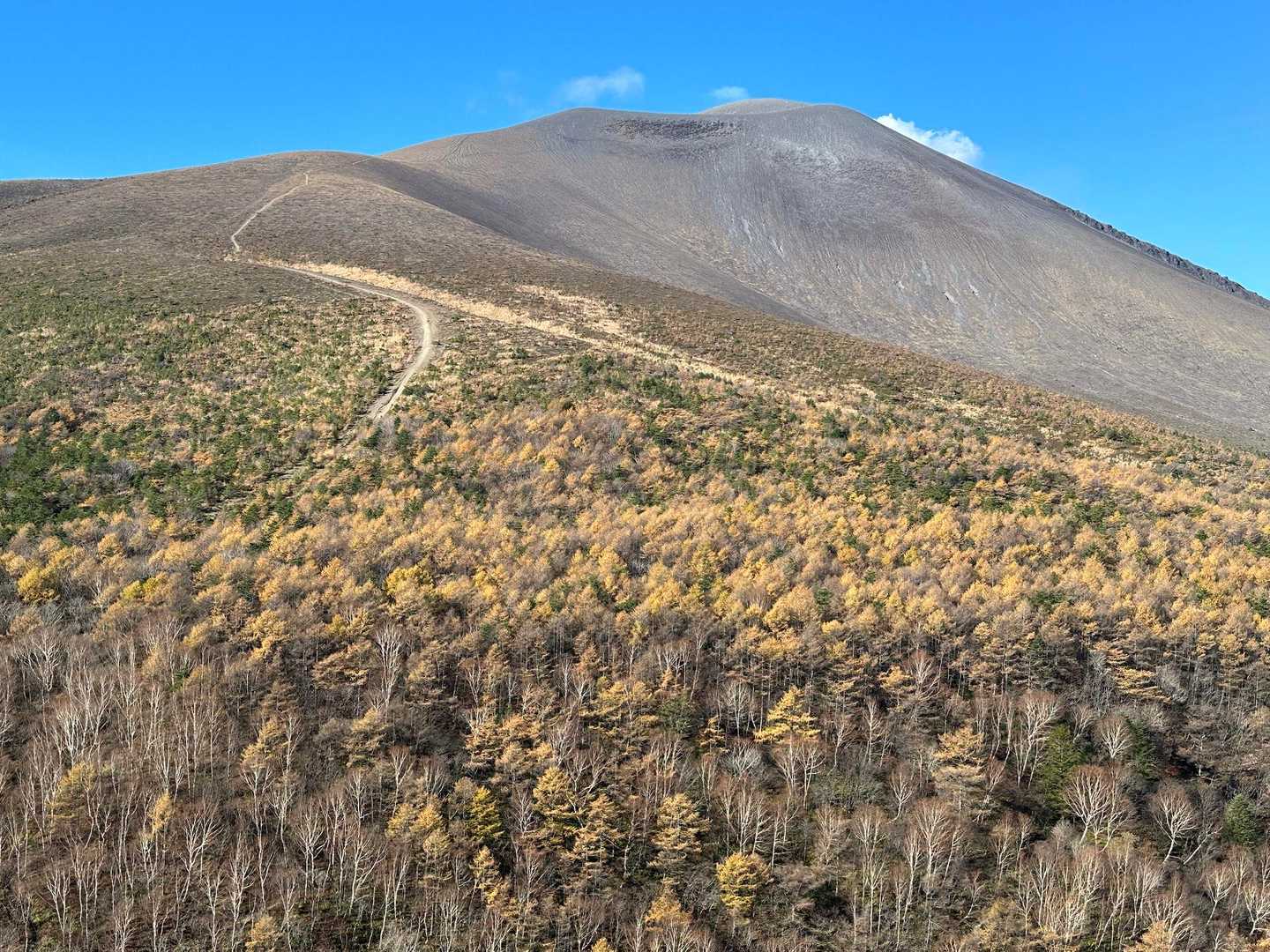 小浅間山往復 | 世界有数の雄大な活火山を間近に。手軽に登れる浅間山の側火山の写真